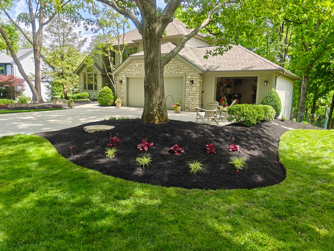 Lawn Care Plus